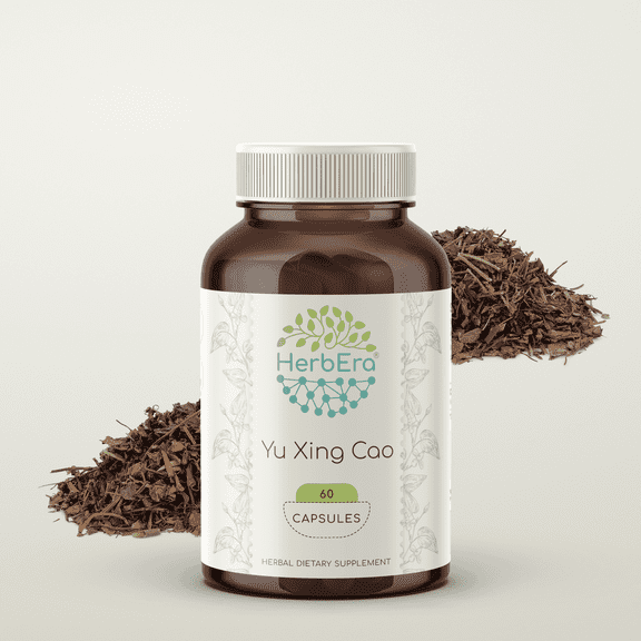 HerbEra Yu Xing Cao Capsules, Herbal Dietary Supplement for Respiratory Health Support, Yu Xing Cao (Plu Kaow, Houttuynia Cordata) Dried Herb Capsules, Natural, 60 Capsules