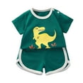 thumbnail image 1 of YuYuBao Toddler Girls Outfits Sets Summer Dinosaur Print Tshirts Tops And Elastic Waist Shorts Sets 2 Piece Playwear Kids Girls Clothes, 5-6 Years, 1 of 3