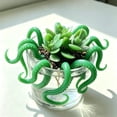 thumbnail image 1 of YuanGuangQ Octopus Tentacle Plant Pot Decor Set, Resin Sea Creature Limb Embellishments for Potted Greenery, Decor Accents for Flower Pot Tabletop Home Scene Layout Decoration, 1 of 6