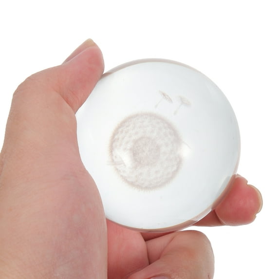 Yuangui 3D Dandelion Crystal Paperweight for Home & Office Decor