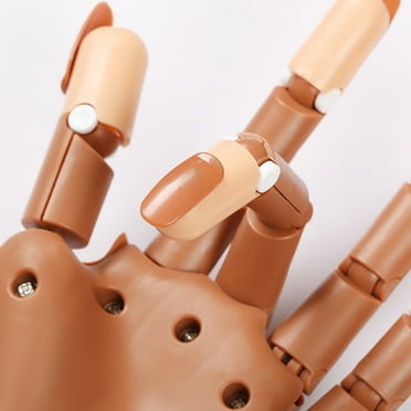 Yuangui Nail Practice Hand Kit with 300 False Nails