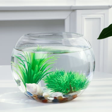 Yuangui Round Glass Fish Bowl for Betta Goldfish Flower Vase
