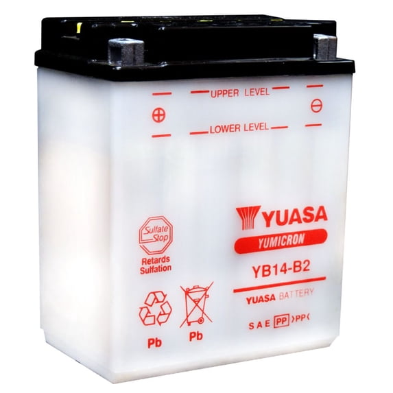Yuasa Yumicron YB14-B2 12V 14Ah Conventional Lead Acid Battery, 190 CCA, Dry Charged (YUAM224B2IND)