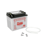 Yuasa Sealed Lead-Acid 12 Volt Automotive Battery, Top Post