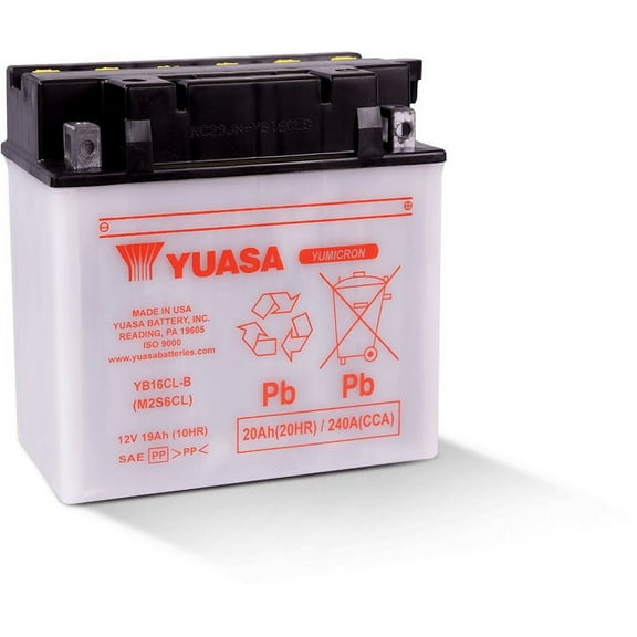 Yuasa Yumicron YB16CL-B 12V Conventional Battery 240 CCA Dry Charged for ATV UTV Watercraft Street (YUAM2S6CLTWN)