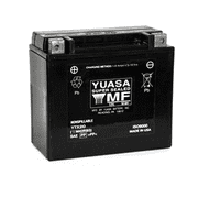 Yuasa YTX20 Factory Activated AGM 12V Maintenance Free Powersports Battery, 270 CCA YUAM42RBS