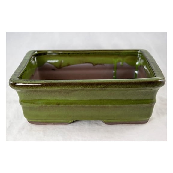 Yubonzai Rectangular Moss Green Glazed Pot, Cactus & Planter with Mesh - 10"x 8"x 3.25" (765-10MG)
