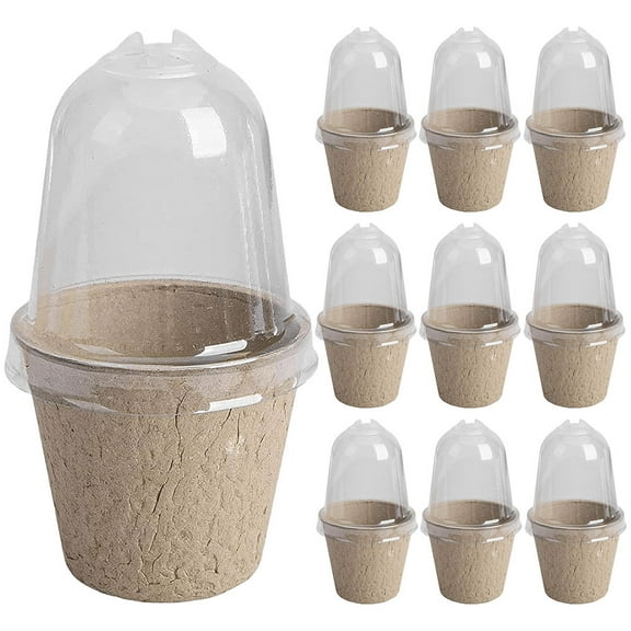 Yucurem 10Pcs Seedling Cup Plant Growing Cup Versatile Gardening Supplies Gardening Supplies (6cm No Holes)