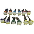 thumbnail image 1 of Yucurem 12Pcs Artificial Birds Diy Crafts Foam Birds Models for Home Living Room (A), 1 of 7