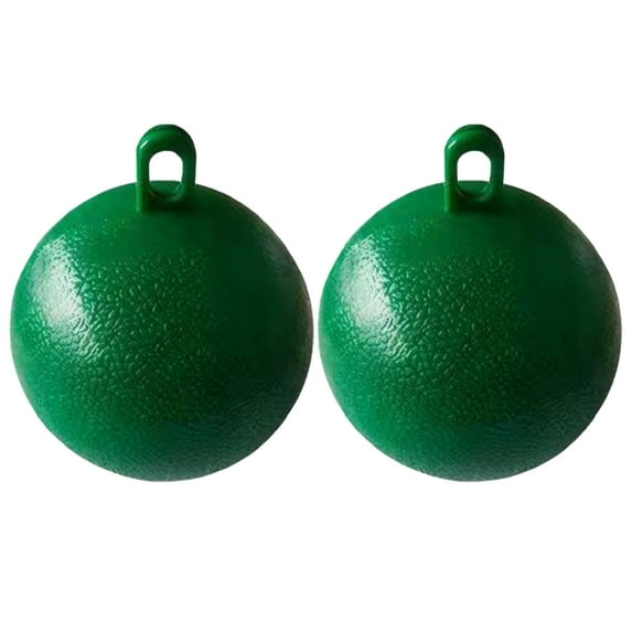 Yucurem 2Pcs Fruit Fly Traps Flying Insects Traps Ball for Indoor Outdoor Gardening Supplies (Green)