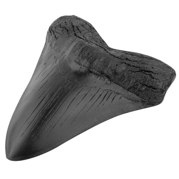 Yucurem 5inch Resin Shark Teeth Home Decoration Black Shark Teeth Fossil for Kids Childs