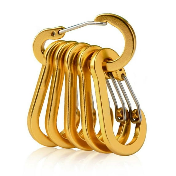 Yucurem 6Pcs Carabiner Spring Clip D Shape Buckle Hiking Backpacking Tools Essential for Camping Barbecue (C)