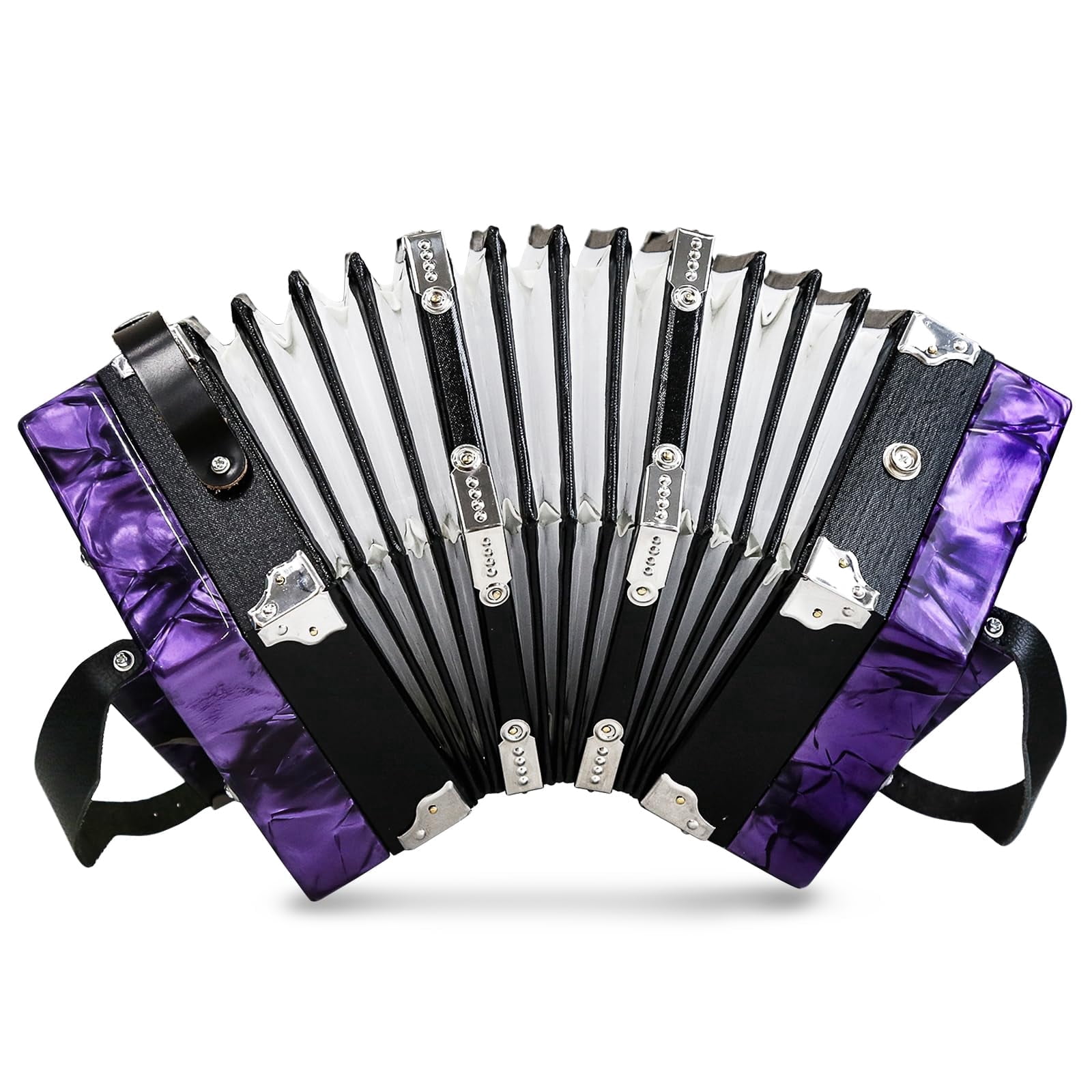 YueChun Concertinas,20-Key Accordion for Adults, Professional Accordion for Beginners, Adjustable Hand Straps, Instrument Accessories (Purple)
