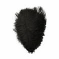 thumbnail image 1 of Yuehao 36Pcs Feather 23cm Stage Props Feather Wall Color Feathers Black, 1 of 2