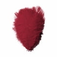thumbnail image 1 of Yuehao 36Pcs Feather 23cm Stage Props Feather Wall Color Feathers Claret, 1 of 2