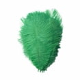 thumbnail image 1 of Yuehao 36Pcs Feather 23cm Stage Props Feather Wall Color Feathers Grass Green, 1 of 2