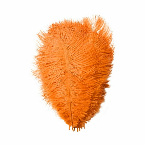 Yuehao 36Pcs Feather 23cm Stage Props Feather Wall Color Feathers Orange