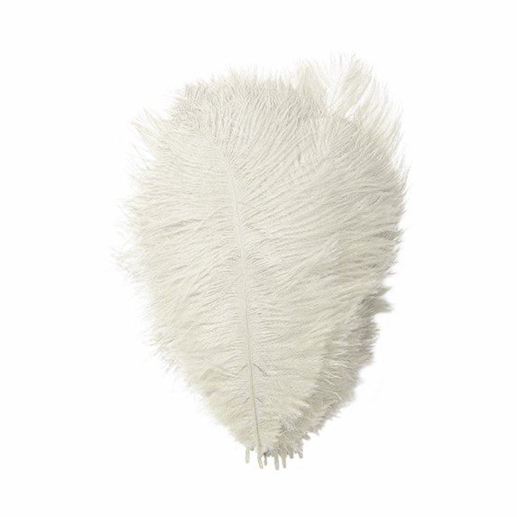 Yuehao 36Pcs Feather 23cm Stage Props Feather Wall Color Feathers White