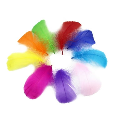 Yuehao Colorful Craft Feathers 6-12cm Multicolor (100 Count)