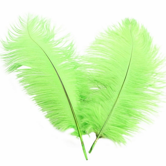 Yuehao Decorative Feathers About 32cmColorful Feathers Wedding Decoration Flower Arrangement Stage Clothing Decoration