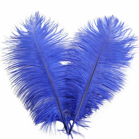 Yuehao Decorative Feathers About 32cmColorful Feathers Wedding Decoration Flower Arrangement Stage Clothing Decoration