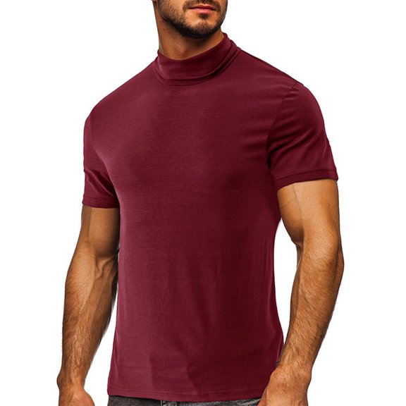 SwiftWear Men Short Sleeve Cotton Stand-up Collar Slim Summer Blouses Wine XXL