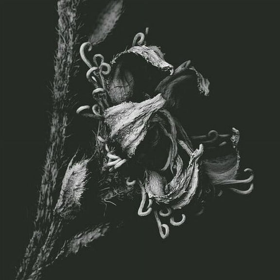 Yui Onodera - 1982 - Music & Performance - CD