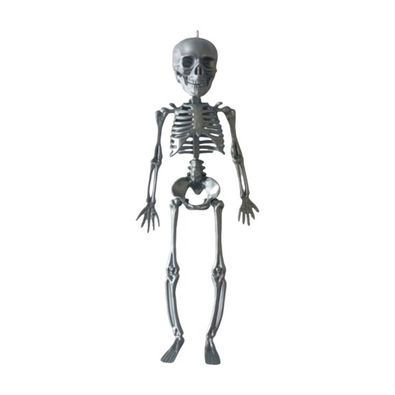 Yujia Halloween Posable Skeleton, Full Body Anatomy Model, Movable Joint Skeleton Decoration for Tabletop Party Display, Festive Home Decor Ornament