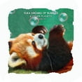 thumbnail image 1 of Yuka the Red Panda Yuka dreams of bubbles & other planets, (Paperback), 1 of 1