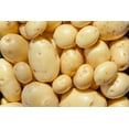 thumbnail image 1 of Yukon Gold Seed Potatos for Planting - Easy to Grow (5 Pounds), 1 of 3