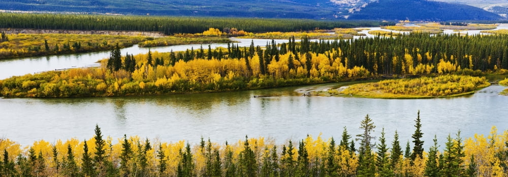 Yukon River And Fall Colours Near Carmacks Yukon Canvas Art - Yves Marcoux Design Pics (36 x 12)