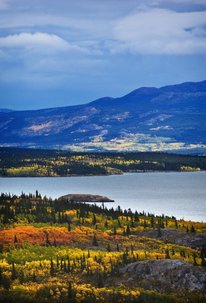 Yukon Territory Canada Canvas Art - Richard Wear Design Pics (24 x 34)