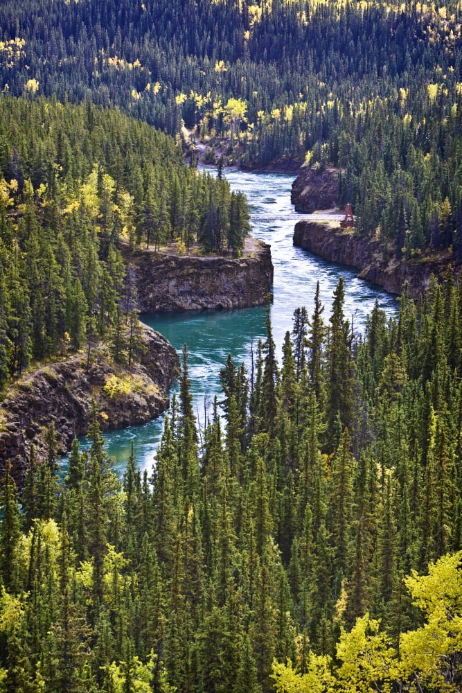 Yukon Territory Canada Canvas Art - Richard Wear Design Pics (24 x 36)