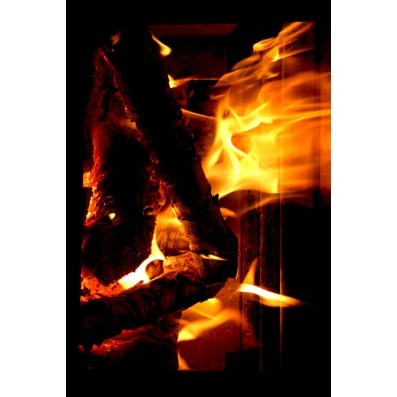 Yule Log Christmas Holiday Poster 16in x 24in 16x24 Multi-Color Square Adults Western Graphic