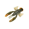 thumbnail image 1 of Yum Crawbug, 1 of 2