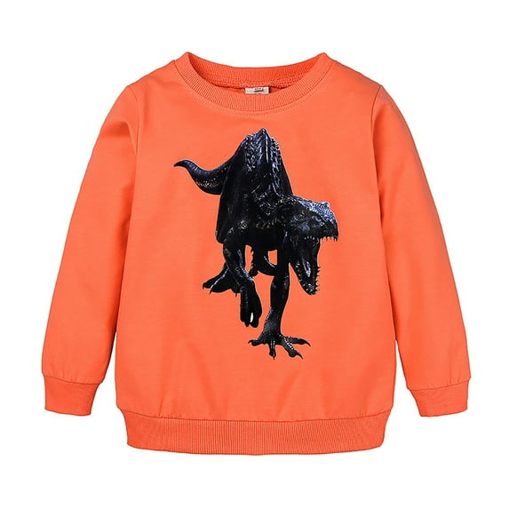 Yuncity Boys Sweatshirt Little Kids Unisex Cartoon Animals Dinosaur Printed Pullover Hoodie Sweatshirts 4-5 Years