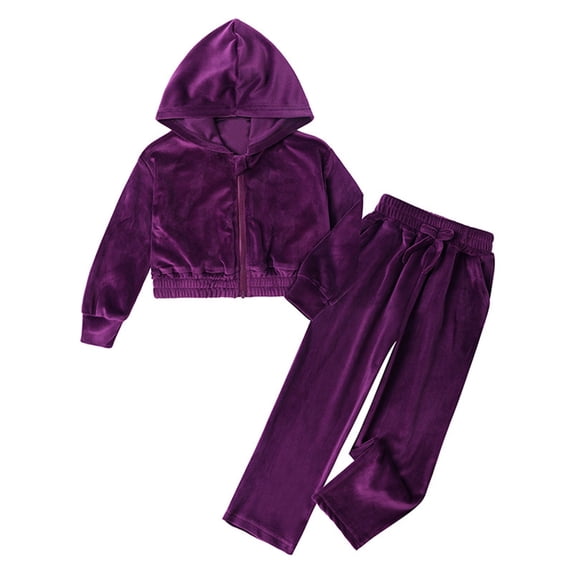 Yuncity Girls Sweatsuit Winter Velvet Tracksuit Outfit Warm Lined Hooded Sweatshirt And Jogger Pants Elastic Waist Design Casual Two Piece Set Size 12-24 Months Purple
