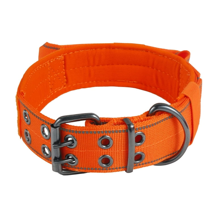 Walmart dog top leashes and collars