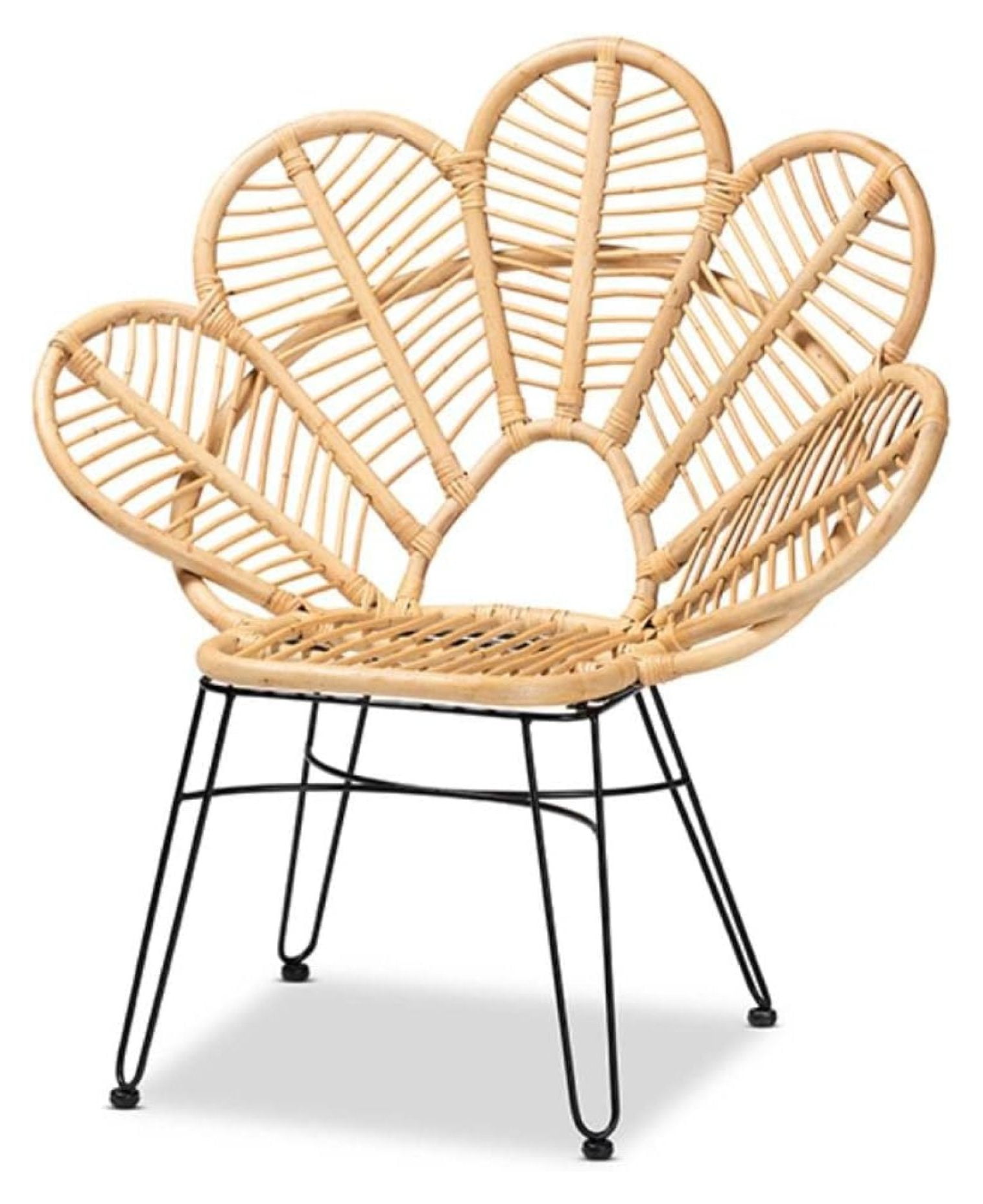Natural Rattan and Black Metal Hairpin Leg Accent Chair