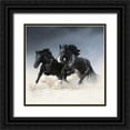 thumbnail image 1 of Yurkovska, Tanya 12x12 Black Ornate Wood Framed with Double Matting Museum Art Print Titled - Race Along the Sand, 1 of 4