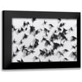 thumbnail image 1 of Yushina, Marina 24x17 Black Modern Framed Museum Art Print Titled - Birds, 1 of 5