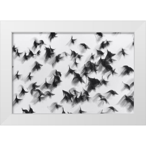 Yushina, Marina 24x17 White Modern Wood Framed Museum Art Print Titled - Birds