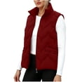 thumbnail image 1 of Yutgune Women's Lightweight Quilted Vest Stand Collar Zip Up Jacket with Pockets, 1 of 9