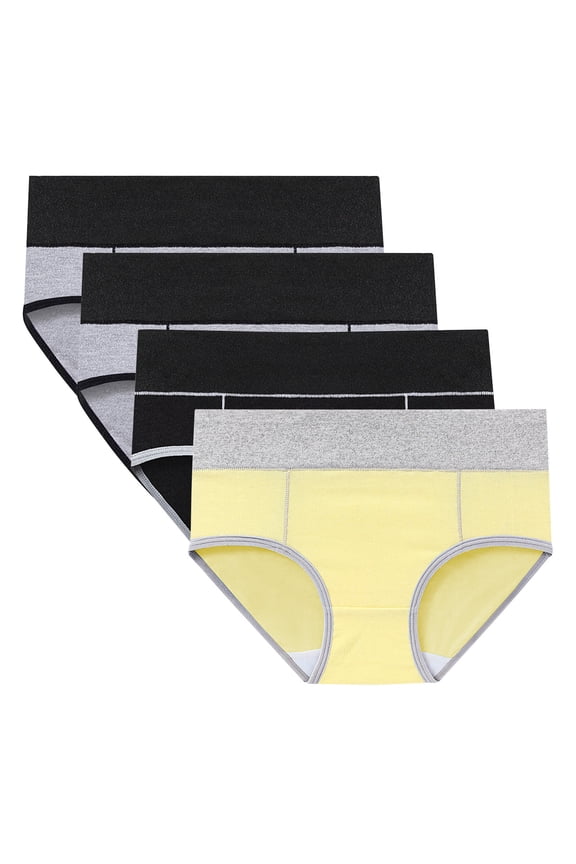 4pc Plus Size Panties for Women Low Waisted Seamless Underwear Soft Stretch Underpants Comfy Breathable Briefs