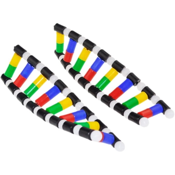 Yvsxxv PVC Double Helix DNA Structure Display Science Models 1Pc