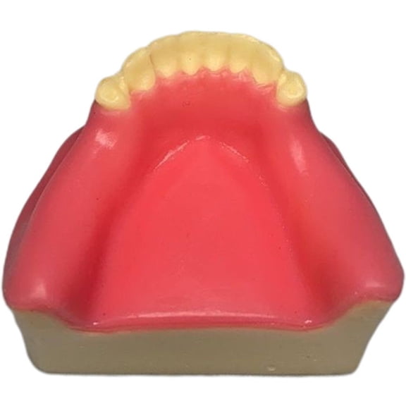 Yvsxxv Resin Missing Teeth Implant Display Science Models Style2 1Pc