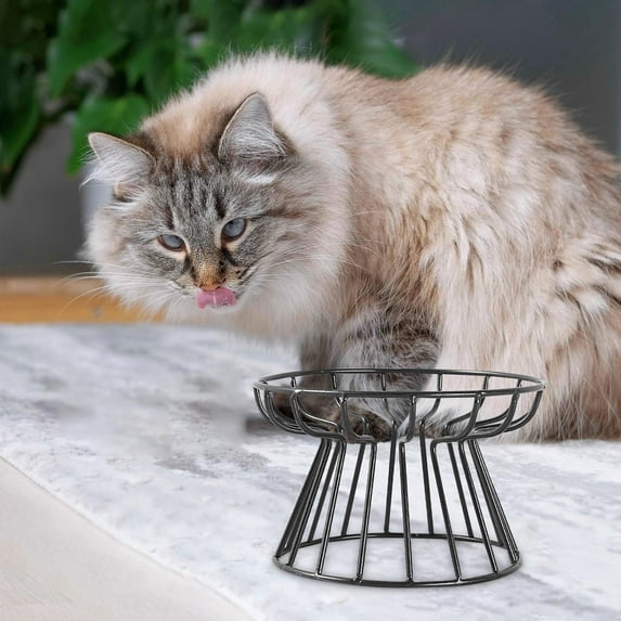 Ywbawe Elevated Cat Bowl Stand with Metal Base for Dry Wet Food Single Tray Holder