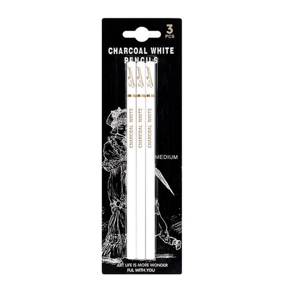 Ywmsfl 2/3/4x/Set Multifunctional Charcoal Pencil Drawing Pencils Tool Highlight Pencil for Shading Sketching Blending