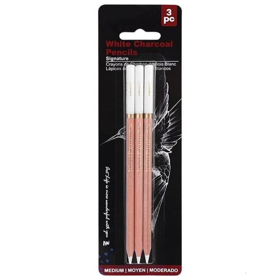 Ywmsfl 2/3 Pcs/Set Sketch Pencils Highlight Pen White Charcoal Pencil Drawing Pencils Professional Sketching Pencils