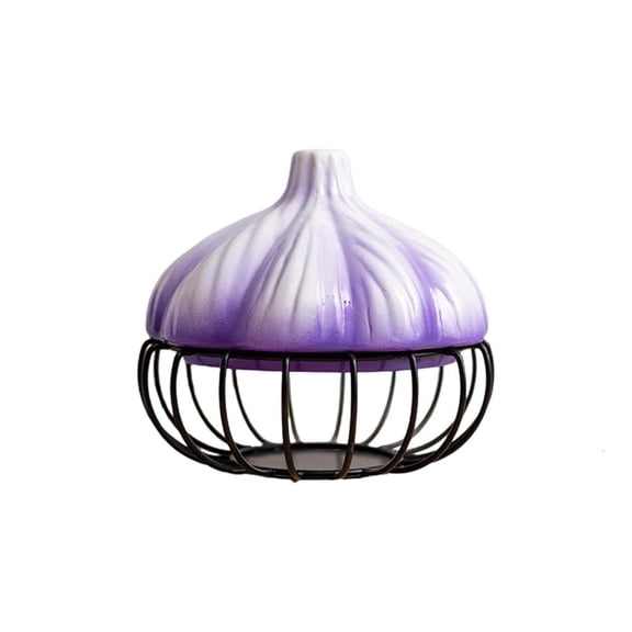 Ywmsfl Ceramic Iron Garlic Storage Basket Container Potato Sundries for Home Kitchen Countertop Fruit Organization Holder